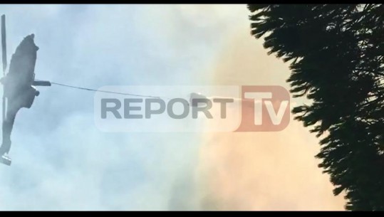 Vatra 3 ditë aktive, ndërhyn helikopteri për të shuar zjarrin në pyllin e Roskovecit (VIDEO)