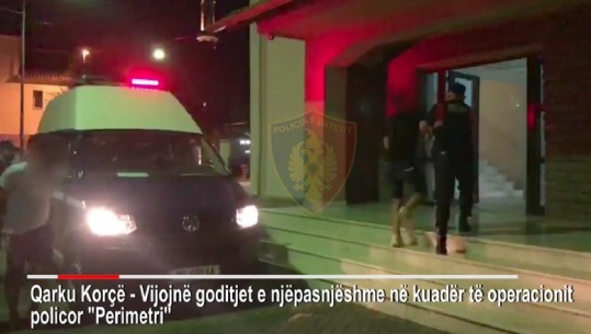 Pogradec/ Arrestohet 29-vjeçari me bashkëpunëtorin, transportonin 18 emigrantë të paligjshëm kundrejt 100 € personi