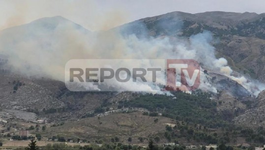 Zjarr në Parkun Natyror në Gjirokastër, digjen 2 ha të kurorës së pishave (VIDEO)