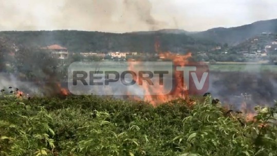Zjarr pranë varrezave të qytetit në Elbasan, digjet plotësisht fusha (VIDEO)