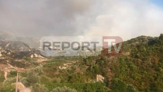  Zjarr i madh në Rrogozhinë, digjen 15 hektarë me ullinj