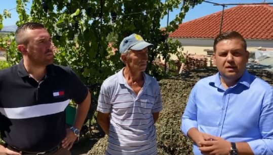 Banorët në Korçë ankohen se nuk ka subvencione, ish deputeti: Kjo qeveri i shkatërroi fermerët