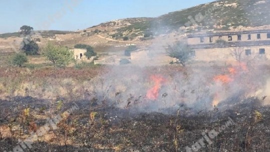 Karaburuni përfshihet nga flakët, zjarrfikësit me mjete rrethanore prej terrenit të vështirë (VIDEO)