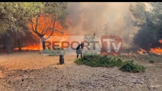 Vijon prej 2 ditësh zjarri në Maliq...digjen mbi 400 ha pyje dhe në Poros të Novoselës! Një tjetër vatër në Orikum, Leli apel: Të jemi të kujdesshëm