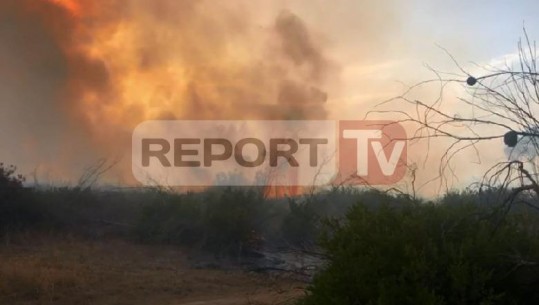 Vijon zjarri në pyllin e Parosit, mbërrin një makinë zjarrfikëse, kërkohet ndihmë nga ajri