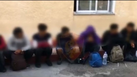 Po transportonte 8 emigrantë të paligjshëm, arrestohet një 40 vjeçar në Pogradec