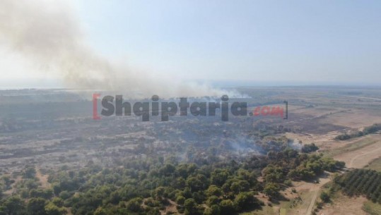 Pamje me dron nga tymi e flakët në pyllin e Poros në Vlorë