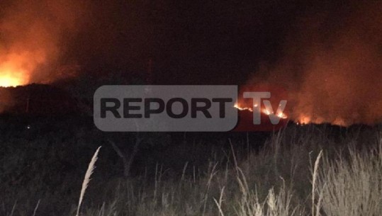 Prej orës 01:00 vijon zjarr në Kallm, flakët 'përpijnë' 100 ha pisha e shkurre (VIDEO)