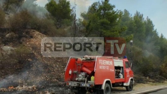 Lezhë, zjarri përfshin masivin pyjor në fshatin Manati (VIDEO)