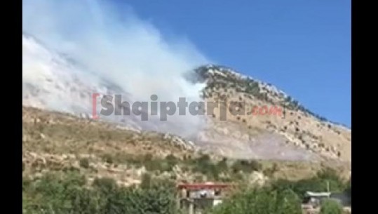Digjen pyje e kullota nga zjarri në Tepelenë/ Flakët rrezikojnë banesat, asnjë zjarrfikëse në vendngjarje (VIDEO)