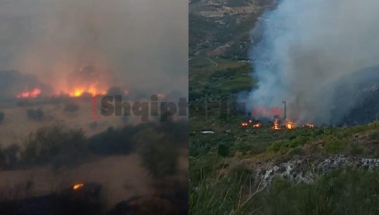 Zjarri përfshin kodrat e Mallakastrës, digjen 40 hektarë me ullishte dhe shkurre (VIDEO)