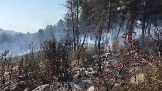 Riaktivizohen zjarret në kodrat e Kastrës, Elbasan (VIDEO)