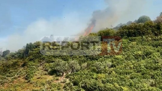 Zjarr në fshatin Mavrovë në Vlorë, përfshihet nga flakët pylli shumë pranë banesave (VIDEO)