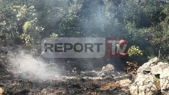 Vijon zjarri në malin e Gamtit, duke djegur hektarë tokë ndërsa i është afruar fshatit Rranxë