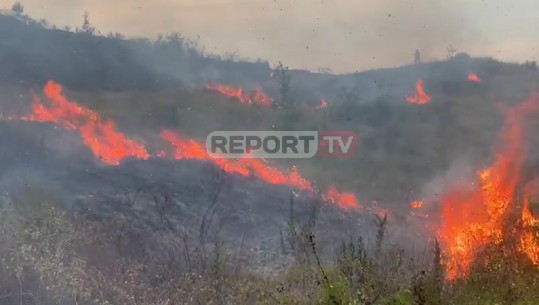 Fushë Krujë/ Zjarr i fuqishëm te kodrat e fshatit Derven! Rrezikohen disa banesa, vështirë ndërhyrja! (VIDEO)