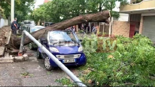 Erërat e forta thyejnë pemët, dëmtohen makinat në Shkodër