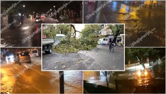 Moti i keq përfshin vendin/ Përmbytje gjatë natës dhe pemë të rrëzuara në Tiranë e Shkodër, dëmtohen disa makina! Rrëshqitje dherash në Kukës