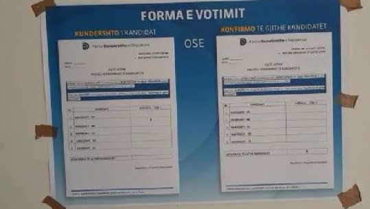 Kalojnë 13 kandidatët e PD për deputet në rrethin e Krujës/ Lista e plotë me emrat 