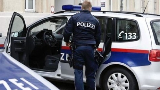 Ngjarje e tmerrshme në Austri, e ëma vret tre fëmijët 