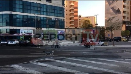 Video/ Burri me biçiklete niset për në punë në Vlorë, një grup qensh e sulmojnë