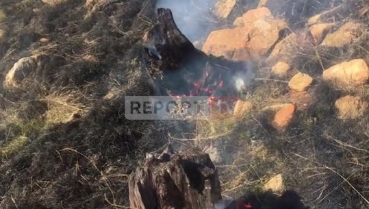 Zjarr i madh në parkun kombëtar të Qafshtamës, digjen mbi 10 hektarë pyje