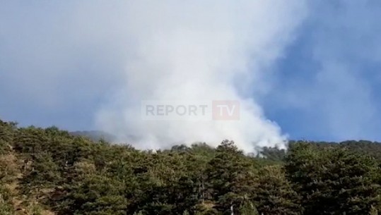 Prej tre ditësh Parku Kombëtar i Qafështamës në flakë, digjen hektarë me pyje, asnjë ndërhyrje nga autoritetet (VIDEO)