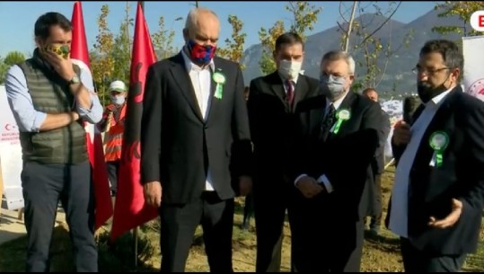 Mbjellja e 1 mijë pemëve si nismë e presidentit të Turqisë, Rama krah ambasadorit: Ka hyrë edhe në librin guiness! Erdogan një mik i mirë