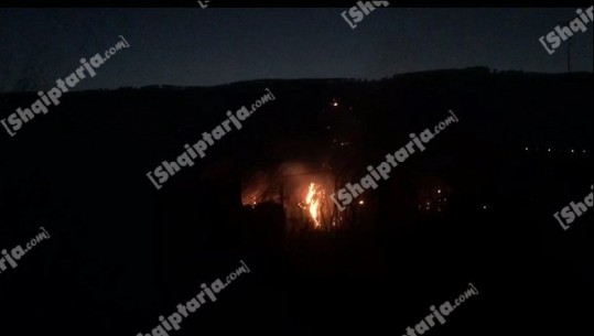 Zjarr në një parcelë rrushi në Berat, policia në kërkim të autorit (VIDEO)