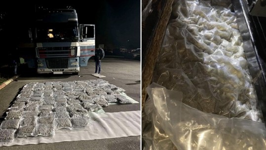 Maqedoni e Veriut/ U kap duke transportuar 100 kg marijuanë, në praga një 48-vjeçar me origjinë bullgare