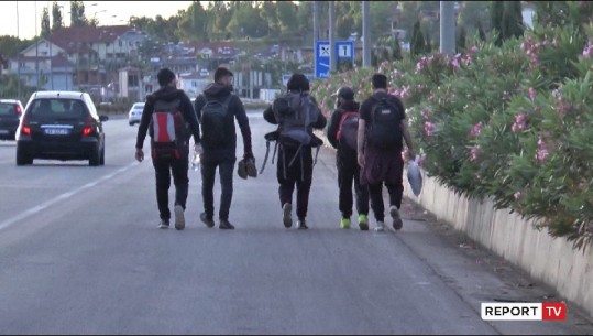 Përgjimet mes trafikantëve të sirianëve: O rrush shko merr 4 krushq,  mos harro lekët  
