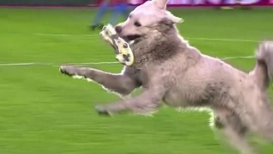 Videolajm/ Qeni futet në fushë dhe ndalon ndeshjen e futbollit! I merr atleten një lojtari