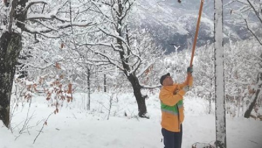 Bora dhe shiu 'pushtojnë' vendin, OSHEE: Raportohen defekte, më të prekura janë rajoni i Kukësit dhe Vlorës (FOTO)
