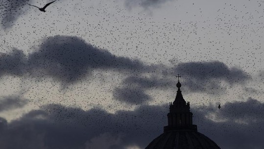 Roma zgjohet me qindra zogj të pajetë në rrugë pas fishekzjarrëve të fundvitit 