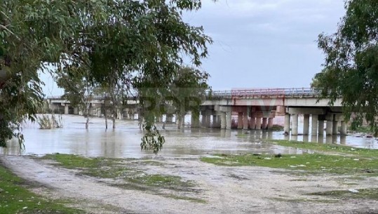 Vlorë/ Reshjet e dendura, lumi Vjosë del nga shtrati dhe përmbyt pazarin e Mifolit (VIDEO)