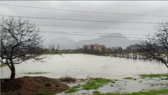 Përmbytje në Balldre dhe Gocaj, uji vërshon në tokat bujqësore