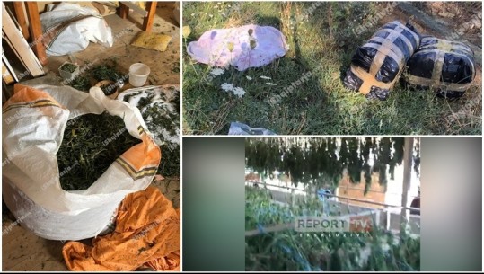 Dosja ekskluzive e drogës së Skraparit/ Punëtorët në parcela nga lindja e mesme! Trafikantët shqetësohen për shefin e madh nga Tirana