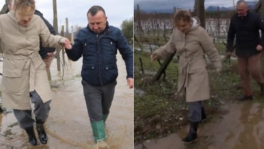 Kryemadhi mbath çizmet në fermën e përmbytur në Laç: Mungesa e seriozitetit të qeverisë ka sjellë këtë gjendje (VIDEO)