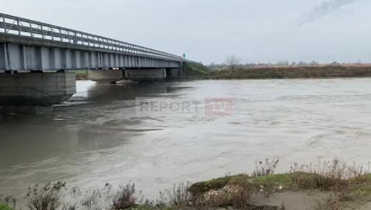 Reshjet e shiut/ Situata nën kontroll në Fier! Lumi Vjosë dhe Semani nuk rrezikojnë të dalin nga shtrati (VIDEO)
