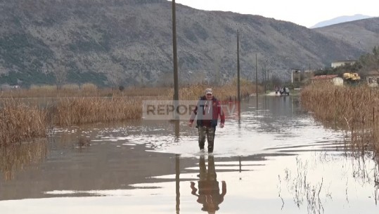 Përmbytjet/ 1823 hektarë nën ujë në Shkodër! Në Elbasan pezullohet mësimi në 2 shkolla! Në Lezhë të bllokuara rreth 50 familje!