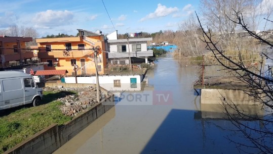 Reshjet, del nga shtrati edhe Erzeni! Përmbyten disa banesa në Shijak (VIDEO)