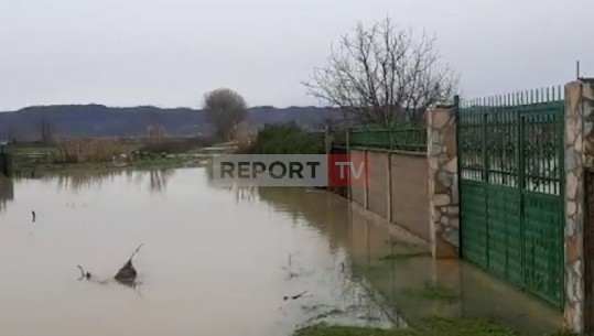 Fushë Krujë/Nën ujë banesat në fshatrat Hamallaj dhe Perlat, uji mbi 1 metër në rrugë (VIDEO)