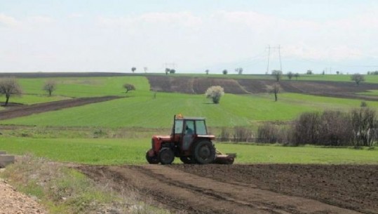 Karburanti falas/ Të dhënat, bumi i pritshëm për bujqësinë shqiptare