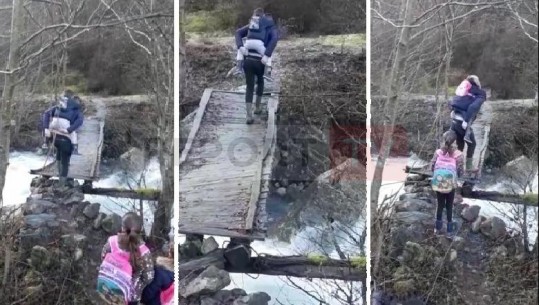 E frikshme/ ‘Akrobaci mbi urë’, prindi mban në shpinë fëmijët për të kaluar lumin e Shalës në Shkodër (VIDEO)