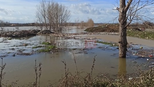 Përmbytje në qarkun e Lezhës, 880 hektarë tokë nën ujë! Akset rrugore pa probleme (VIDEO)