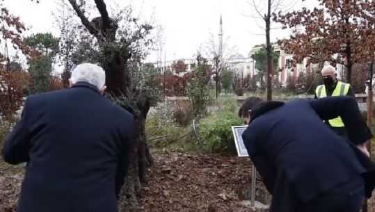 Pas emërtimit të rrugës, mbillet një pemë në nder të Klodian Rashës, i ati: M’u përgjysmua dhimbja, do jetë i paharruar emri i djalit tim (VIDEO)