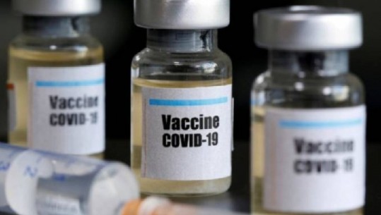  Fushata e BE për të siguruar vaksinat: Burokraci e pafund dhe kontrata të këqija