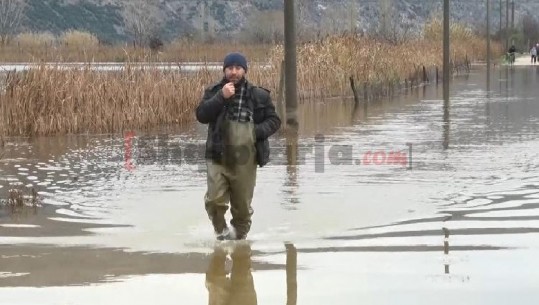 Përmbytjet/ Bashkia Shkodër bën bilancin e situatës, 2785 hektarë tokë ende nën ujë! Rruga që lidh fshatrat Shirq- Darrgjat është e bllokuar