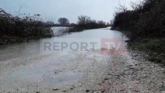 Fushë Krujë/Përmbytje në fshatin Murqinë, shkak bllokimi i kanaleve