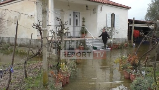Banorët e Nartës prej një muaji të përmbytur! Shiu shton tokat nën ujë në Obot e Fushë-Krujë (VIDEO)
