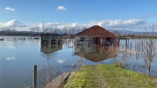 Përmbytjet nga reshjet në Shkodër, banorët e fshatit Mali i Jushit kërkojnë ndihmë nga shteti: Nuk na ka ardhur askush (VIDEO)